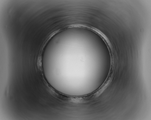 X0000099450809200805090726
