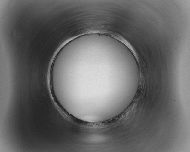 X0000099450811200805090726