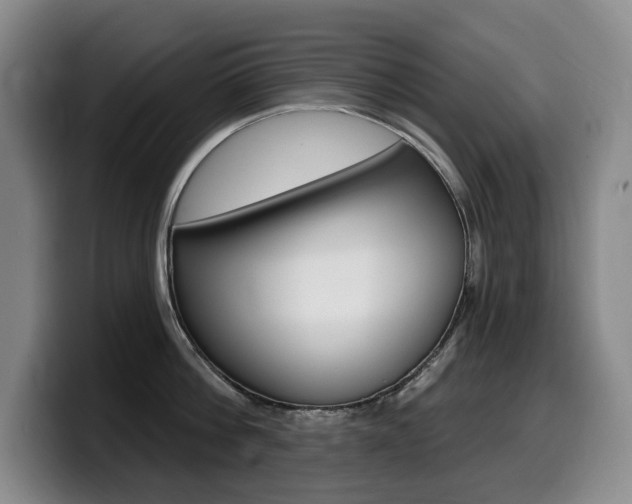 X0000099450812200805090726