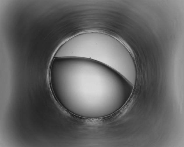 X0000099450813200805090726