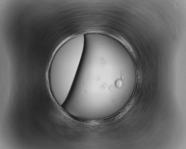 X0000099450814200805090726