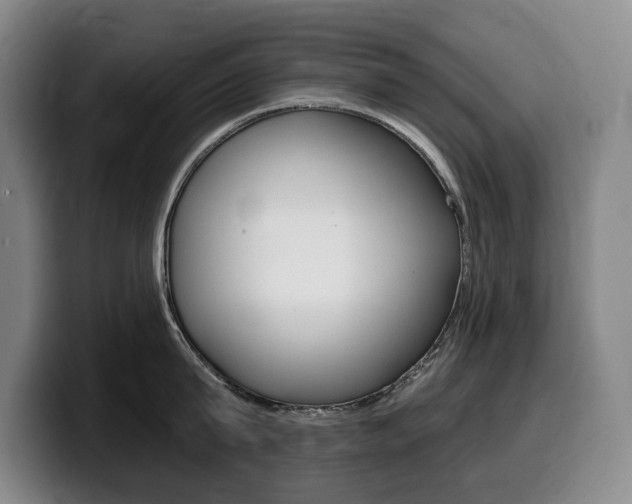 X0000099450815200805090726
