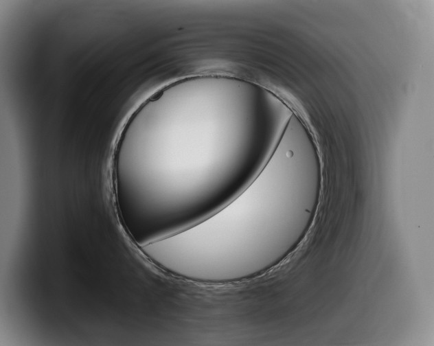 X0000099450816200805090726