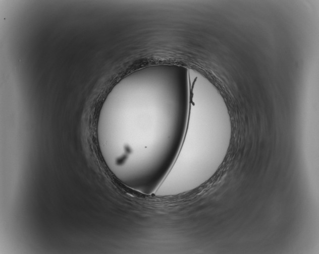 X0000099450817200805090725