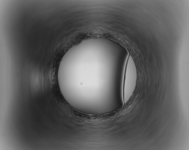 X0000099450818200805090725