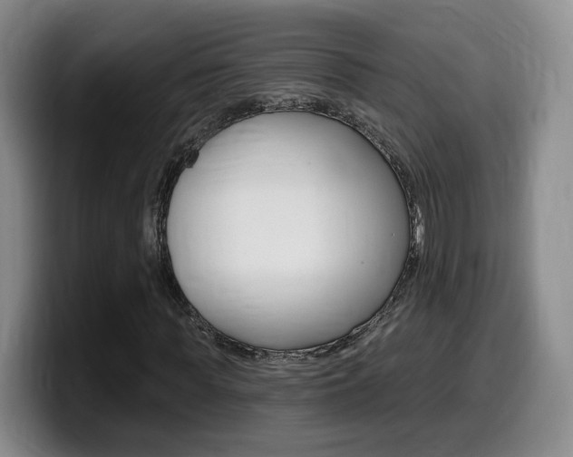 X0000099450819200805090725