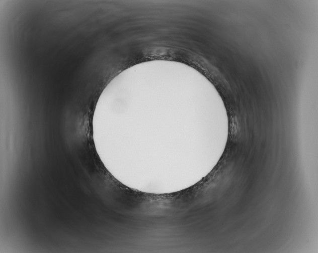 X0000099450820200805090725