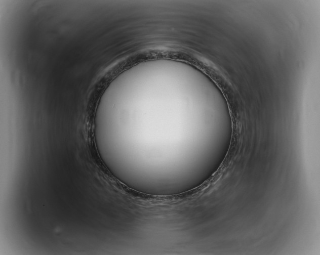 X0000099450822200805090725
