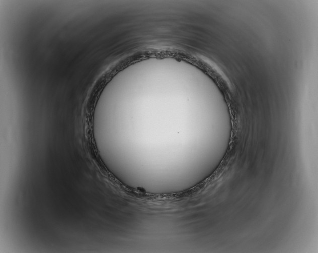 X0000099450823200805090725