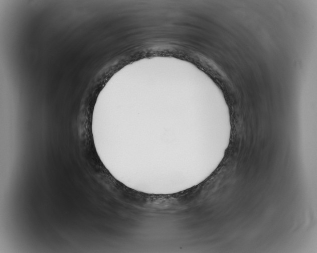 X0000099450824200805090725