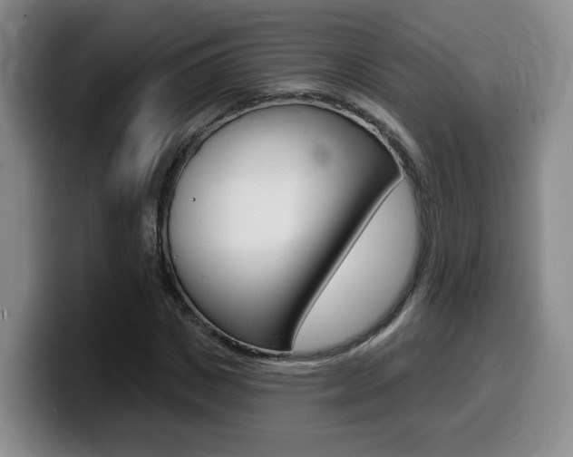 X0000099450825200805090725