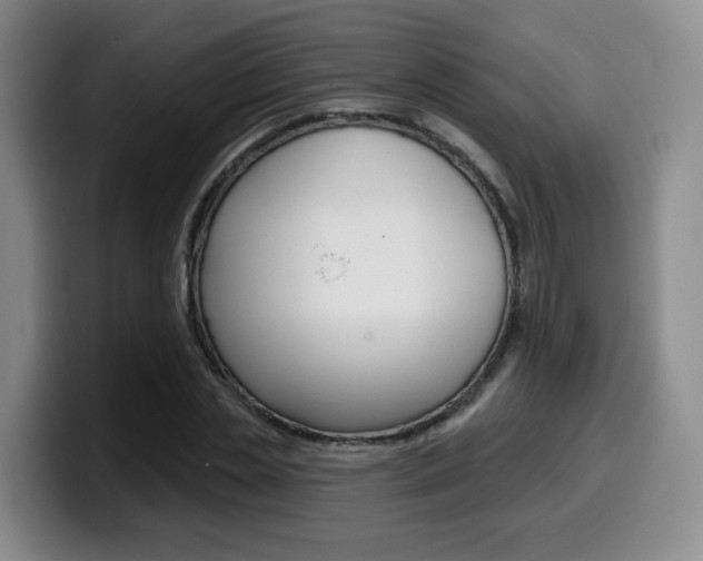 X0000099450829200805090726
