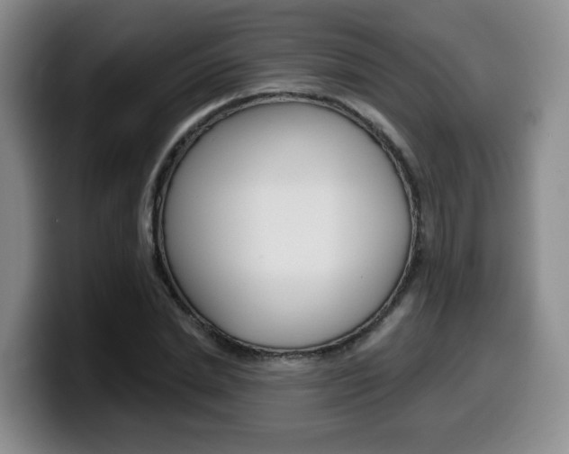 X0000099450830200805090726