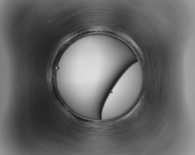 X0000099450831200805090726