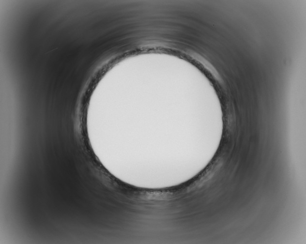 X0000099450832200805090726