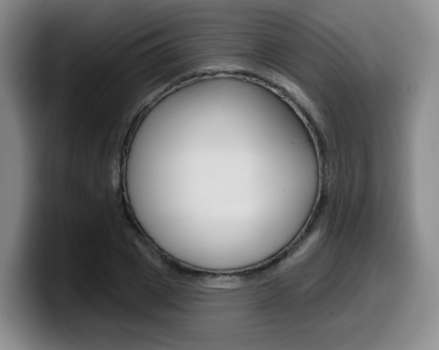 X0000099450833200805090726