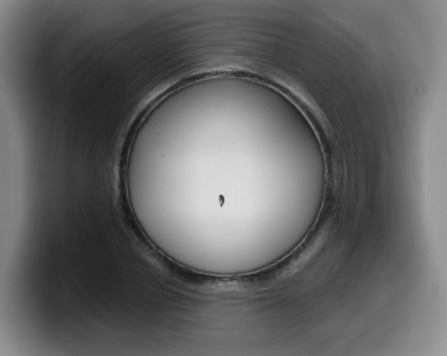 X0000099450834200805090726
