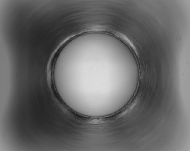X0000099450835200805090726