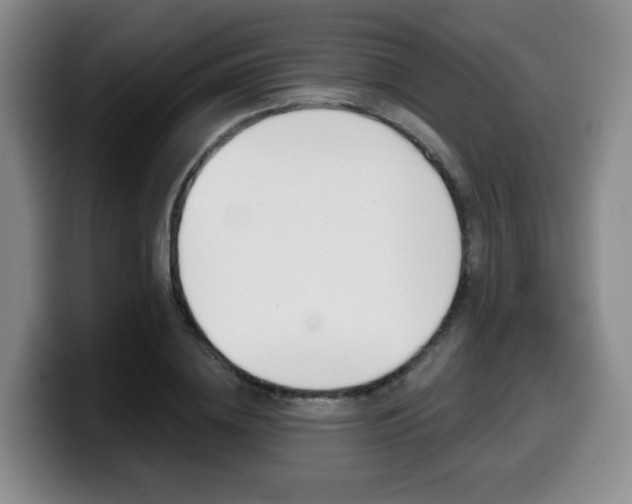 X0000099450836200805090726