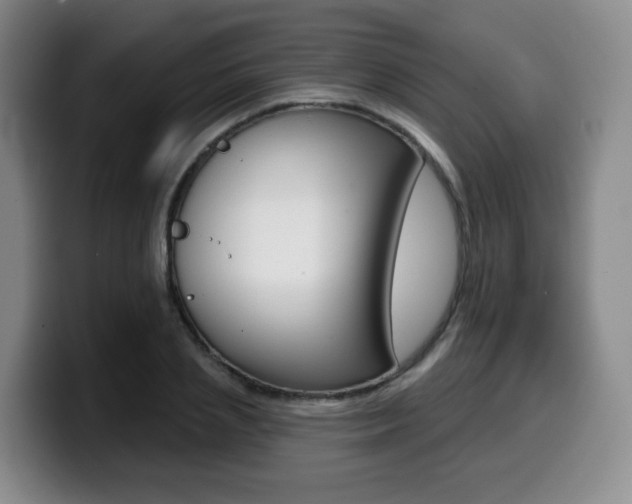 X0000099450837200805090726