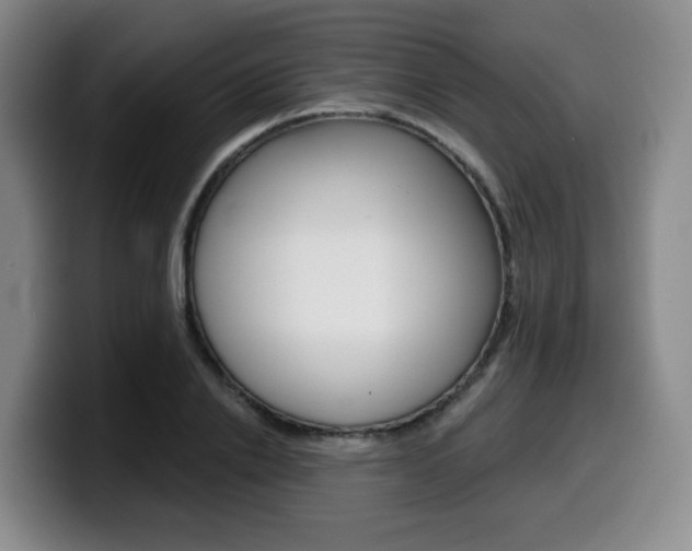 X0000099450838200805090726