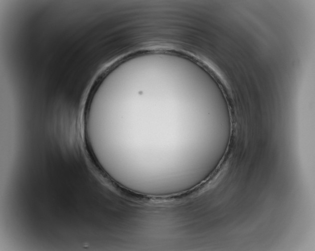 X0000099450840200805090726