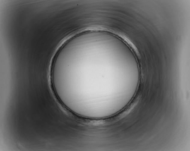 X0000099450845200805090726