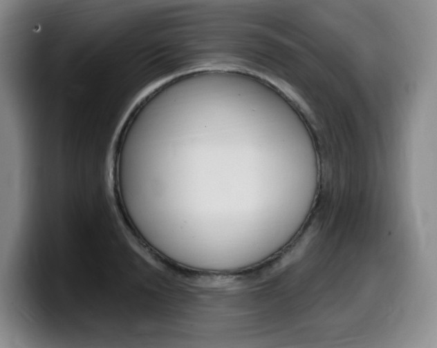 X0000099450846200805090726