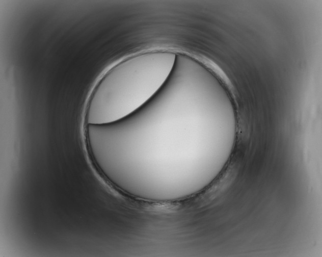 X0000099450847200805090726
