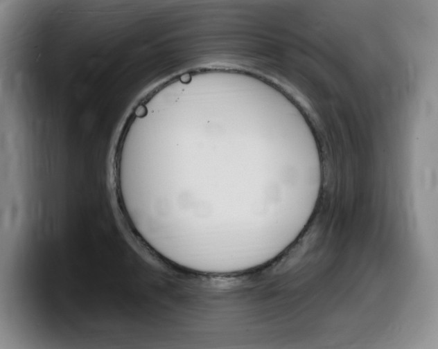 X0000099450848200805090726