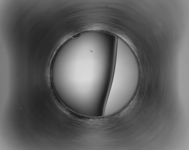 X0000099450850200805090726