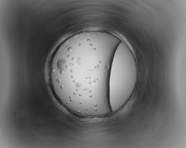 X0000099450851200805090726