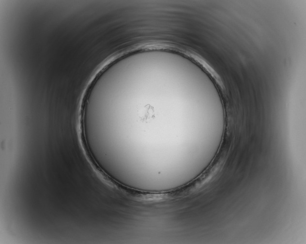 X0000099450853200805090726