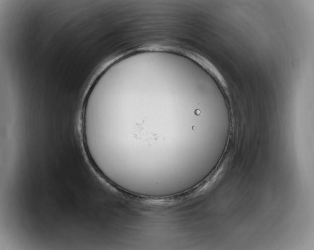 X0000099450855200805090726