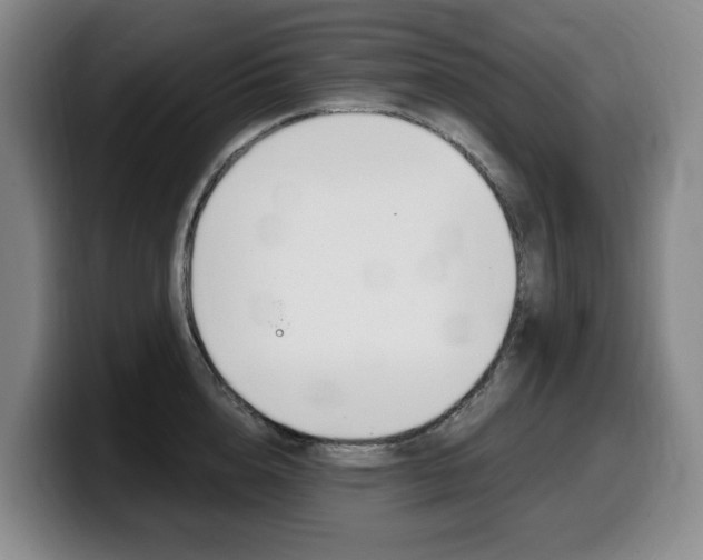 X0000099450856200805090726