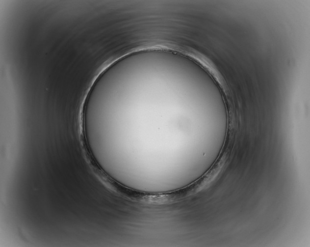 X0000099450858200805090726