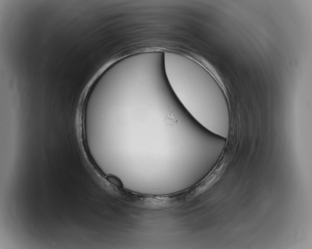 X0000099450859200805090726