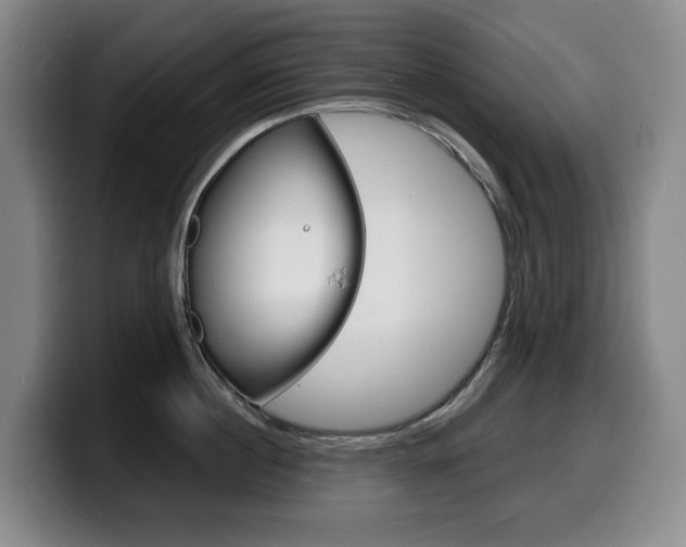 X0000099450860200805090726