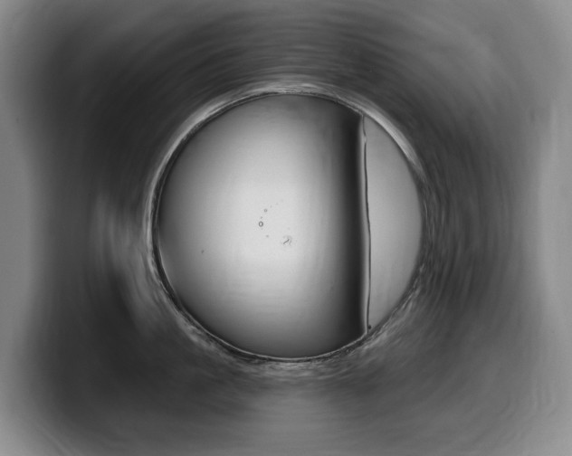 X0000099450861200805090726