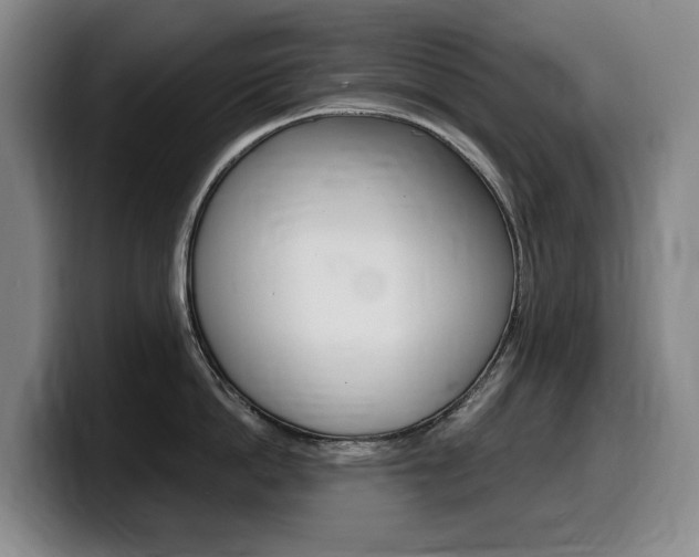 X0000099450862200805090726