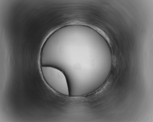 X0000099450863200805090726