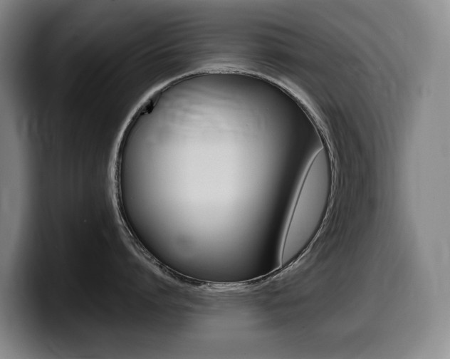 X0000099450864200805090726