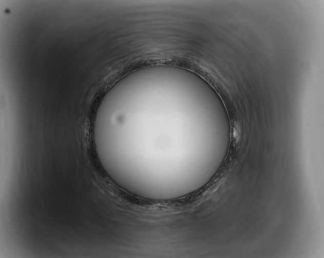 X0000099450867200805090725