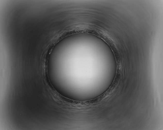 X0000099450868200805090725