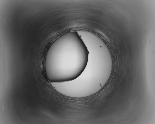 X0000099450869200805090725