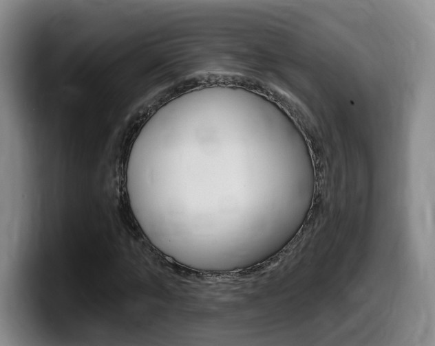 X0000099450870200805090725