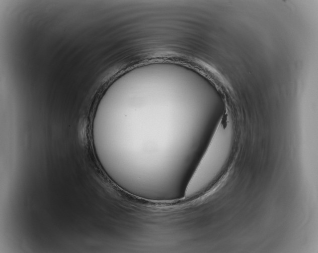 X0000099450873200805090725
