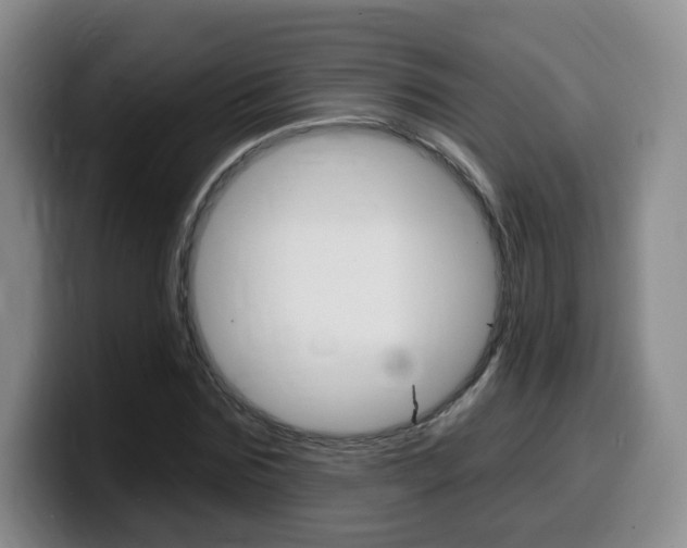 X0000099450875200805090725