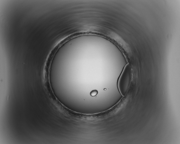 X0000099450876200805090725
