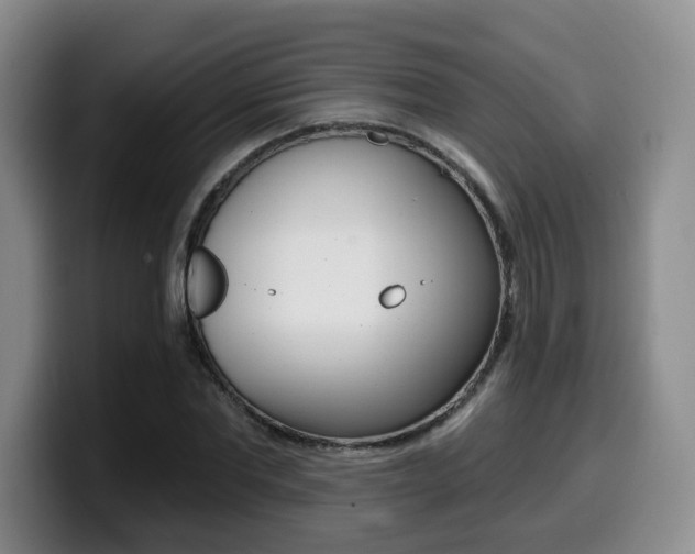 X0000099450877200805090725